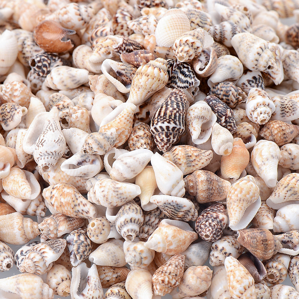 Natural Gold-Plated Conch Shell Pendants