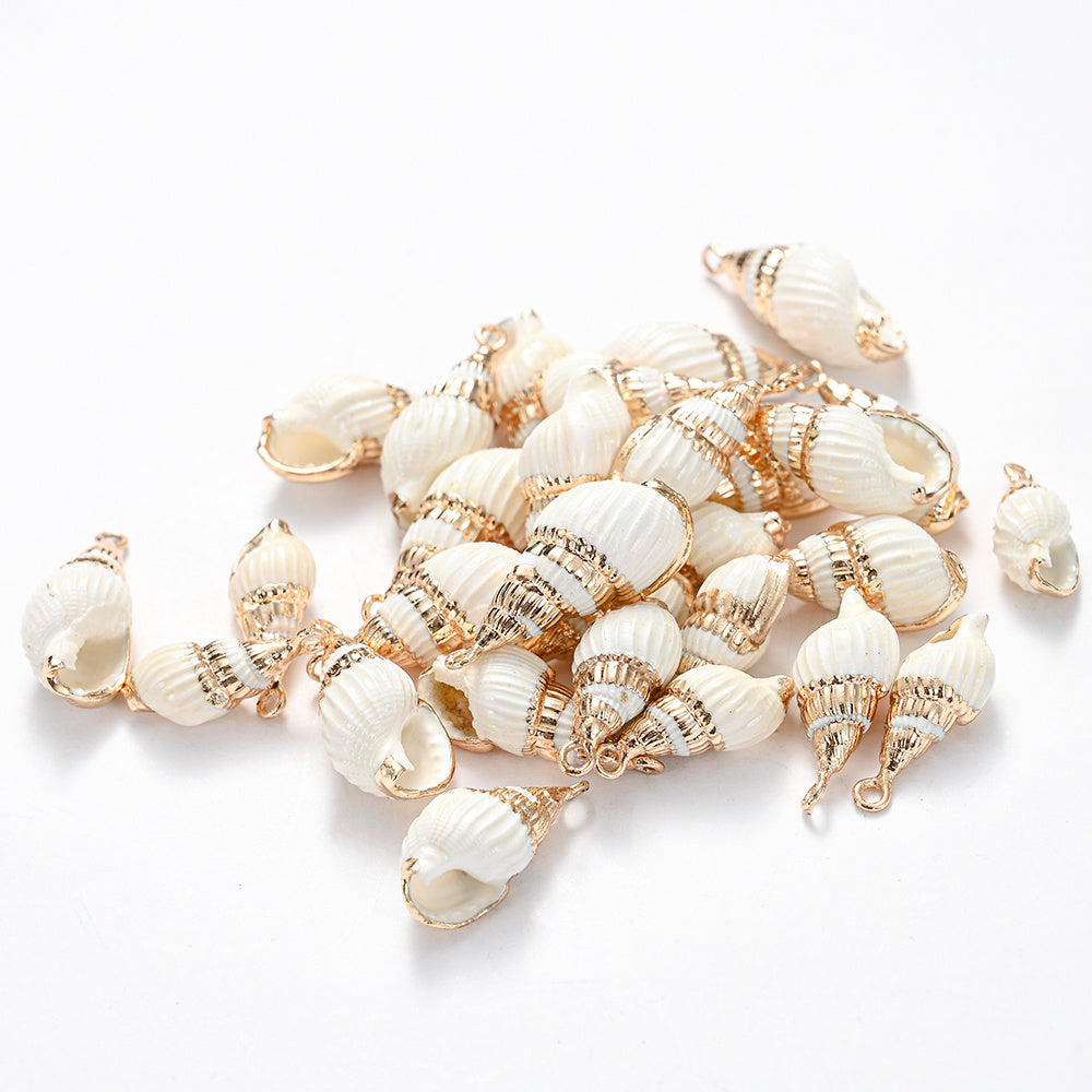 8-Piece Mixed Natural Shell Conch Charms with Gold Edges