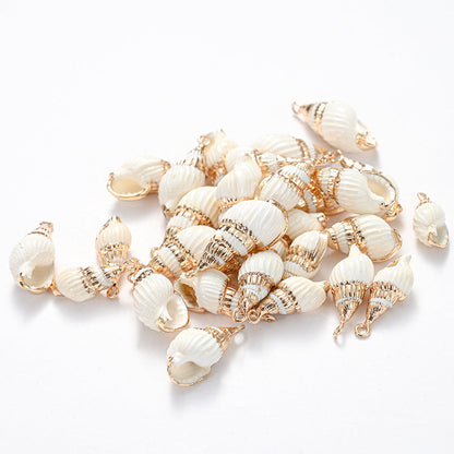 8-Piece Mixed Natural Shell Conch Charms with Gold Edges