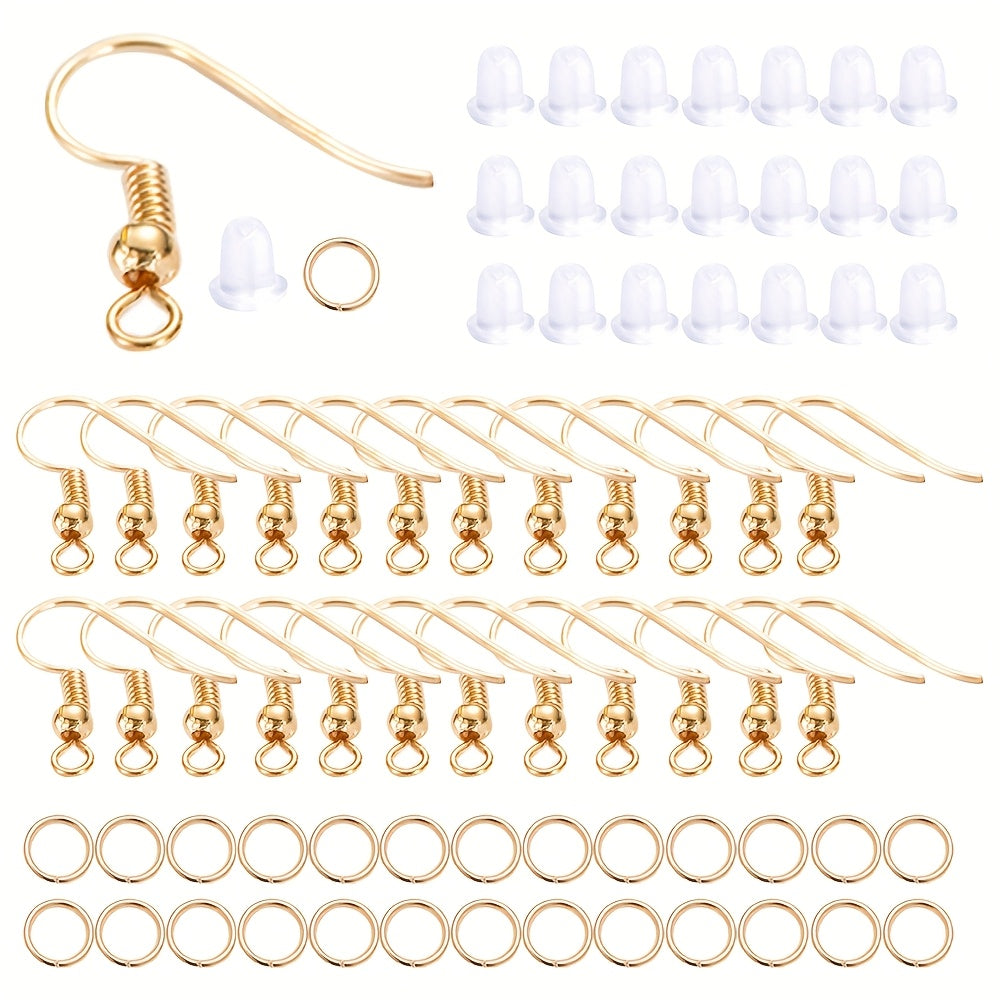 Gold Silver Earring Hook Set