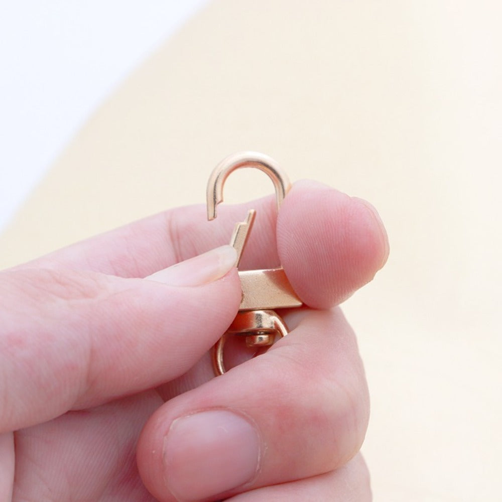 Multicolor Keychain Clasp Set