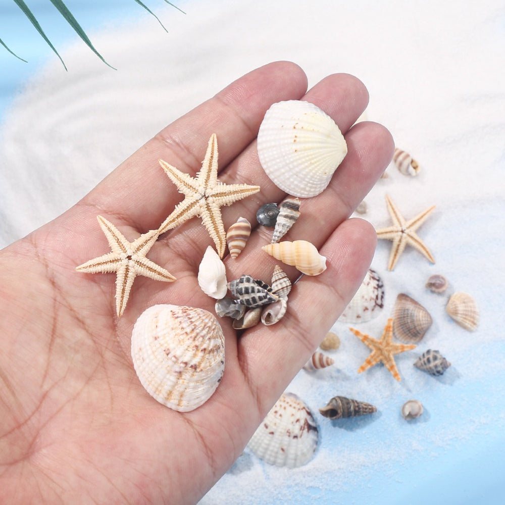 740-Piece Natural Mixed Mini Shell Beads