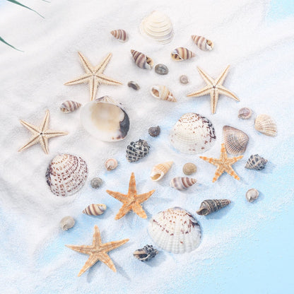 740-Piece Natural Mixed Mini Shell Beads