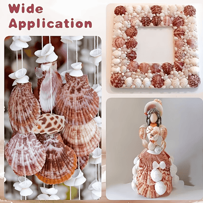 200pcs Tiny Artificial Sea Shells Beads
