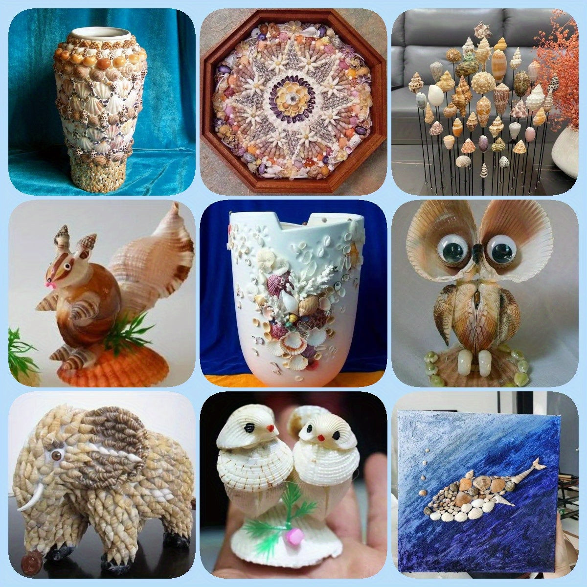 740-1000 pcs Mini Natural Seashells