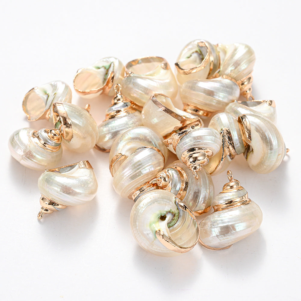 8-Piece Mixed Natural Shell Conch Charms with Gold Edges