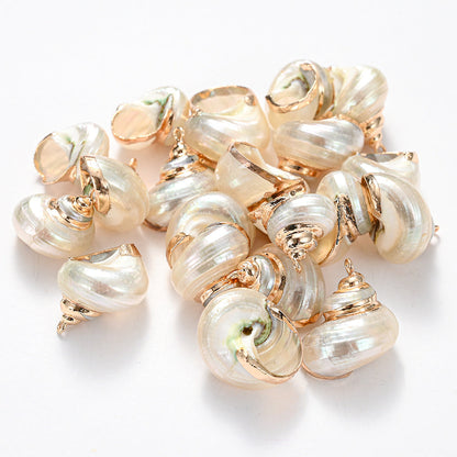 8-Piece Mixed Natural Shell Conch Charms with Gold Edges