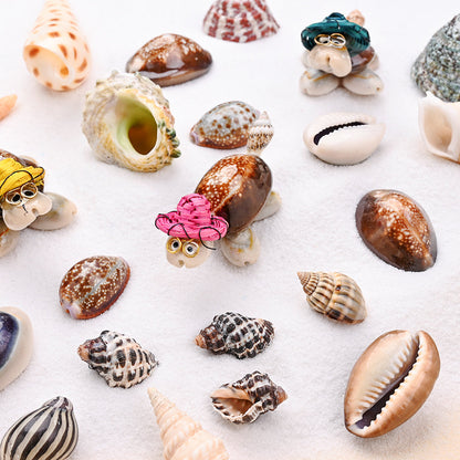 100g/Box Mixed Decorative Shell Set