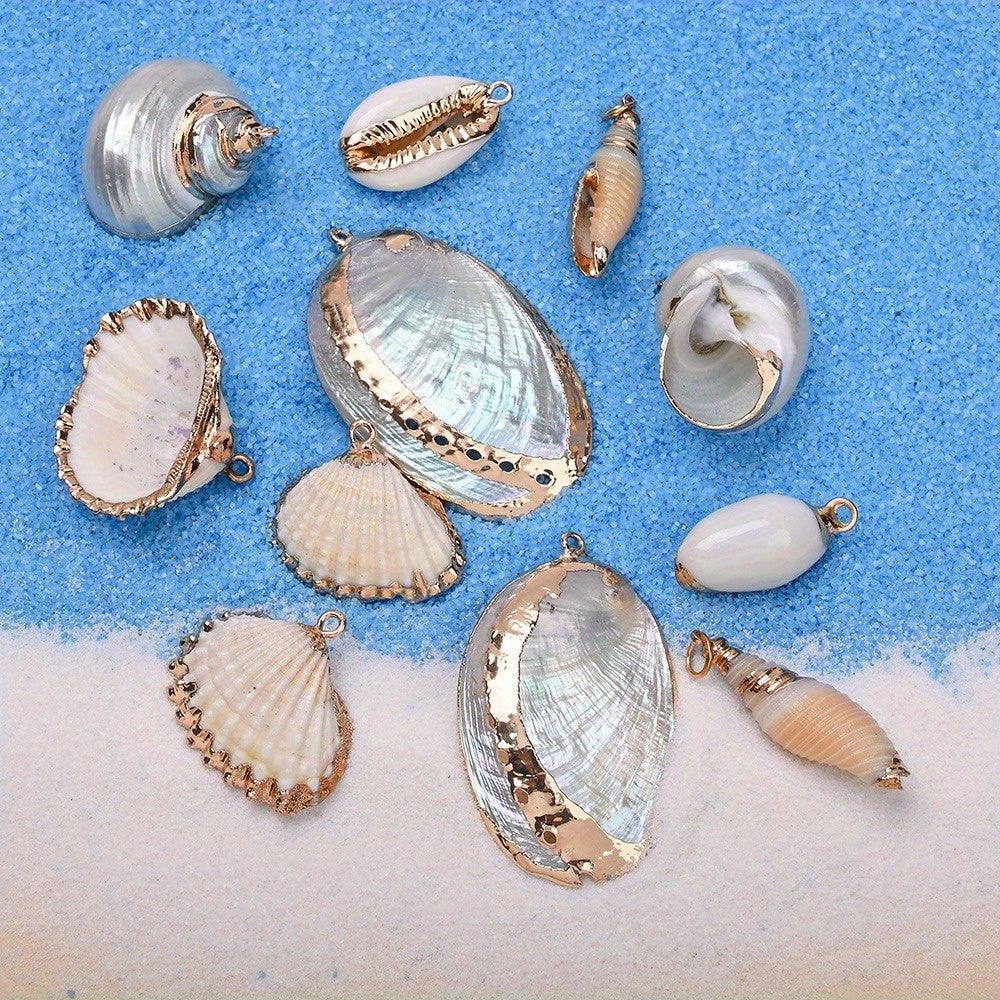 8-Piece Mixed Natural Shell Conch Charms with Gold Edges