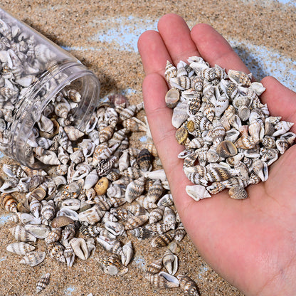 150G Ocean Theme Shell & Conch Bead Set