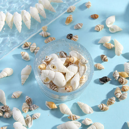 Natural Gold-Plated Conch Shell Pendants