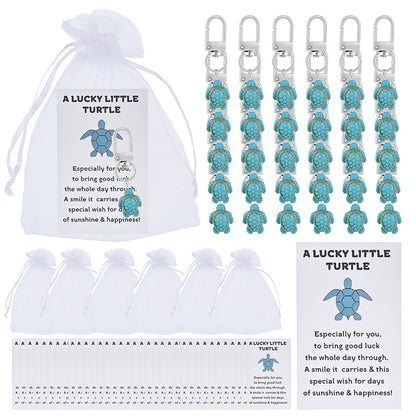 Lucky Turtle Keychain Gift Set