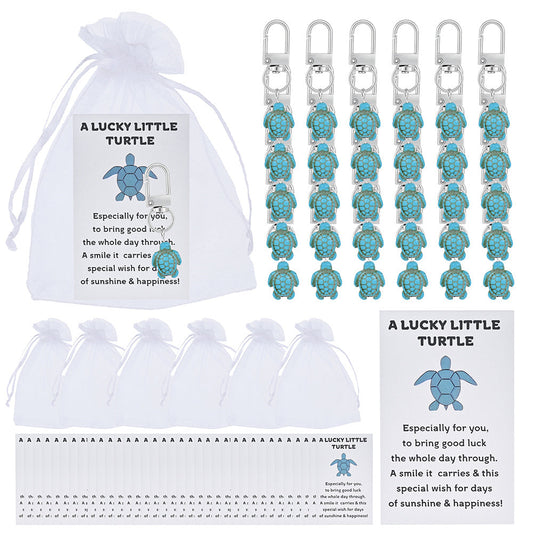 Lucky Turtle Keychain Gift Set