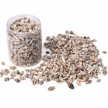 150G Ocean Theme Shell & Conch Bead Set