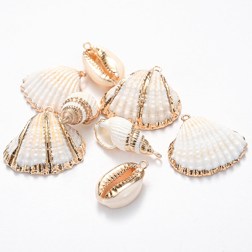 8-Piece Mixed Natural Shell Conch Charms with Gold Edges