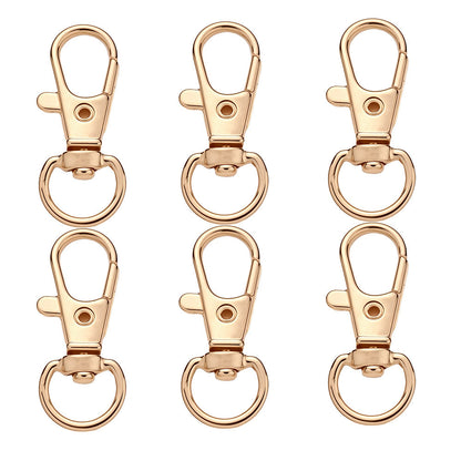 Golden & Silver Keychain Clasp Set