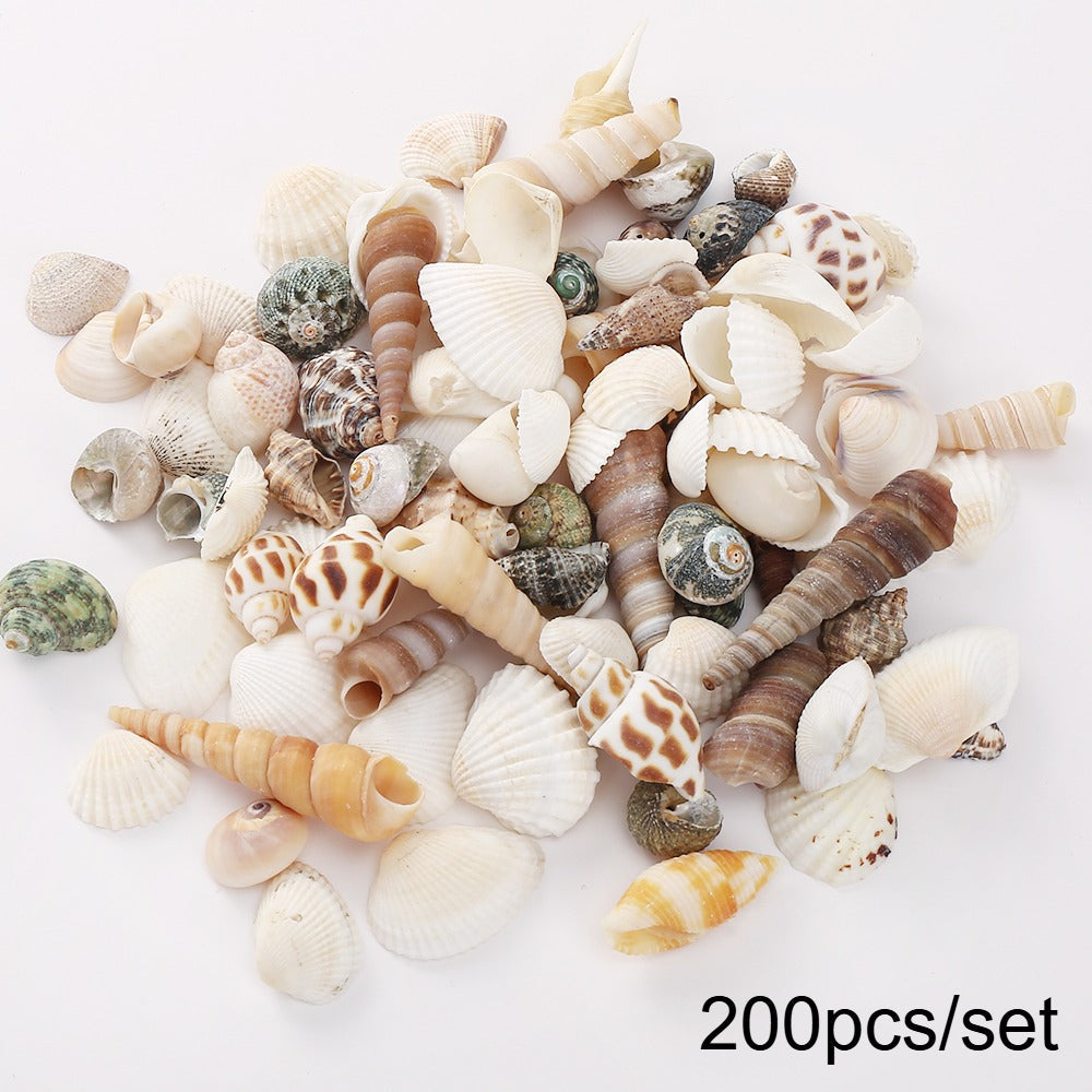 200pcs Tiny Artificial Sea Shells Beads