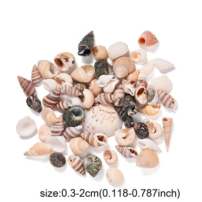 300g Mini Shell Conch Beads